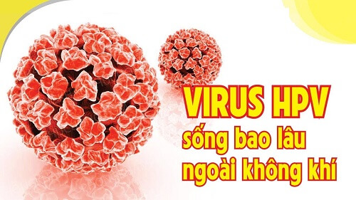 Virus sùi mào gà sống bao lâu ngoài môi trường không khí?